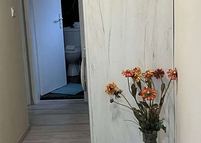 Spacious 2-room Flat Near Metro Mall * صوفيا