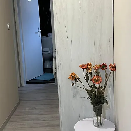 Spacious 2-room Flat Near Metro Mall * Szófia